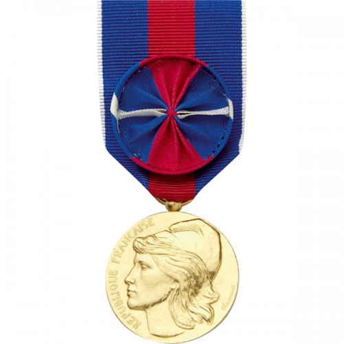 MÉDAILLE - SERVICES MILITAIRES VOLONTAIRES