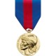 MÉDAILLE - SERVICES MILITAIRES VOLONTAIRES