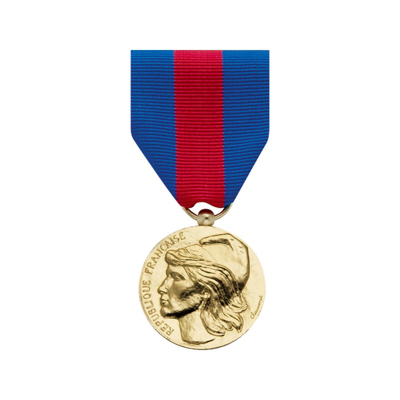 MÉDAILLE - SERVICES MILITAIRES VOLONTAIRES