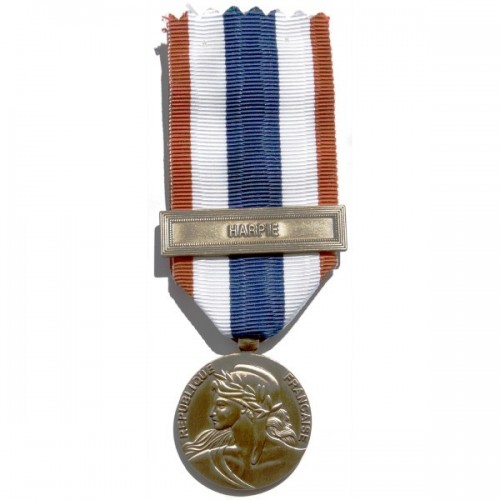 MÉDAILLE - PROTECTION MILITAIRE DU TERRITOIRE