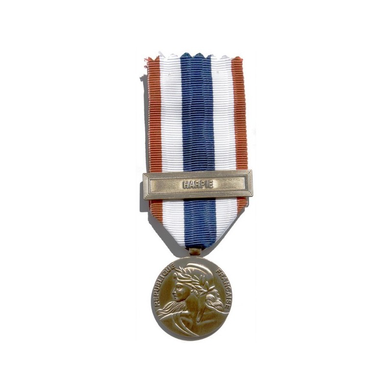 MÉDAILLE - PROTECTION MILITAIRE DU TERRITOIRE