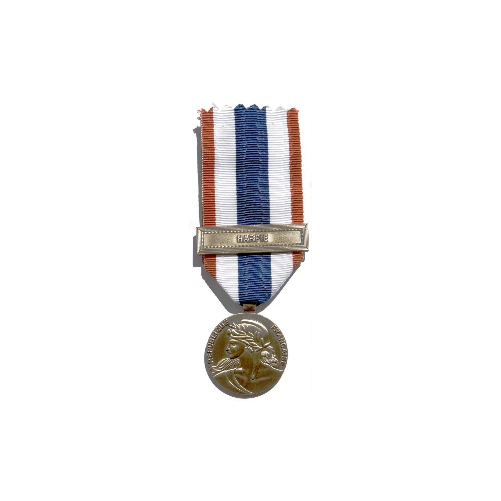 File:Medaille de la protection militaire du territoire.svg - Wikipedia